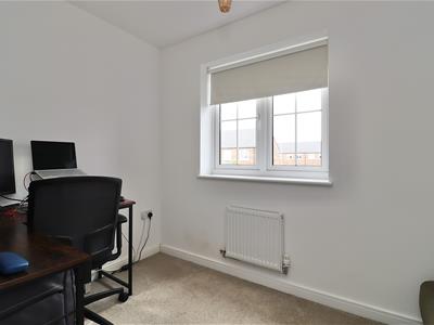 Picture 14